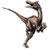 Velociraptor_1.jpg