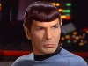 Spock_Close_up.jpg
